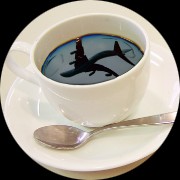 coffee 的會員頭像